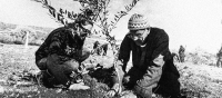 Sosteniamo l'economia delle comunità palestinesi